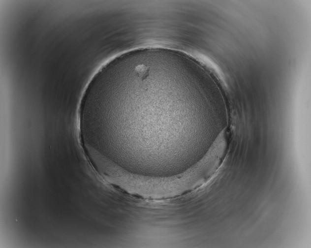 X0000095941280200801251102