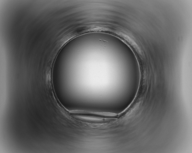 X0000095941281200801251102