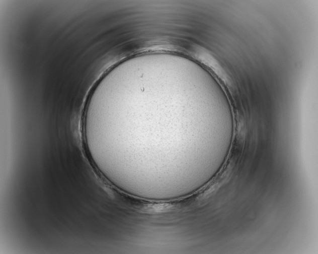 X0000095941282200801251102