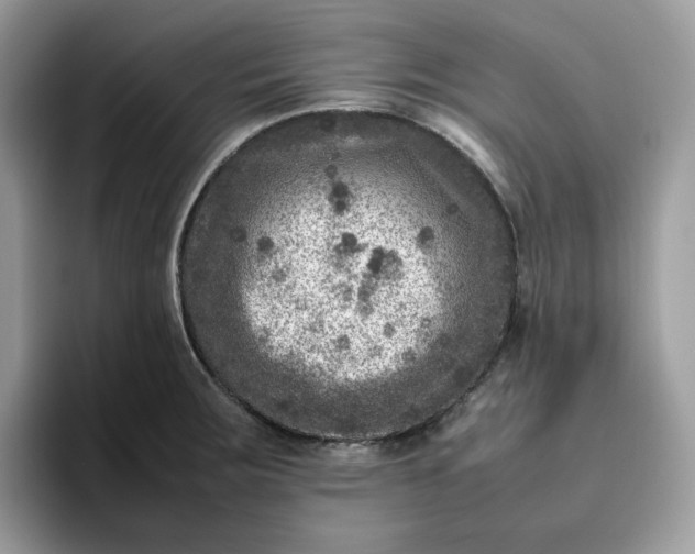X0000095941283200801251102