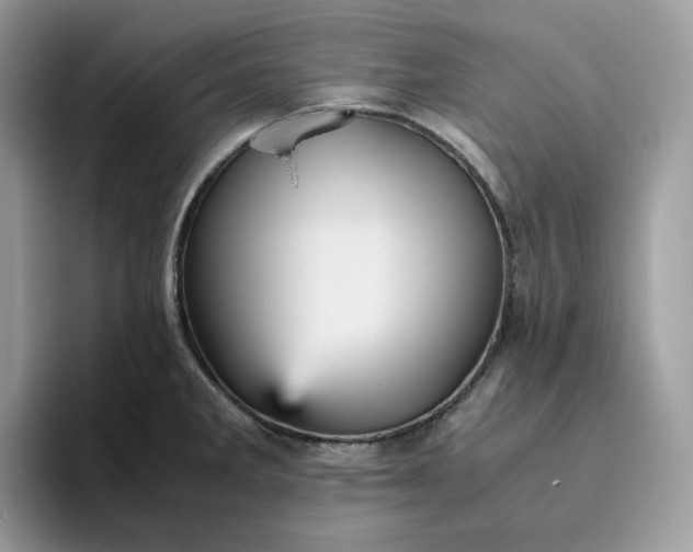 X0000095941285200801251102