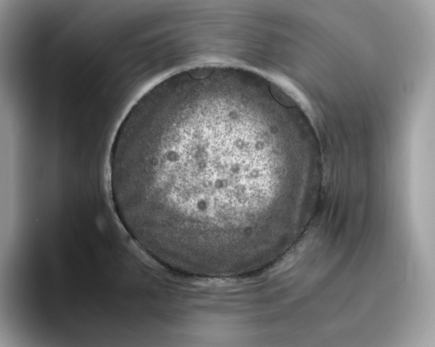 X0000095941287200801251102