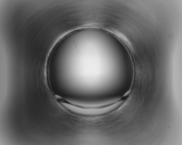 X0000095941288200801251102