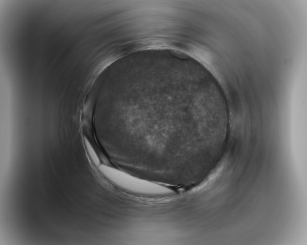 X0000095941289200801251102