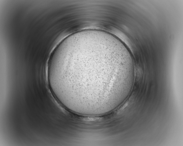 X0000095941290200801251102