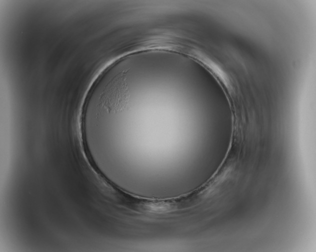 X0000095941291200801251102