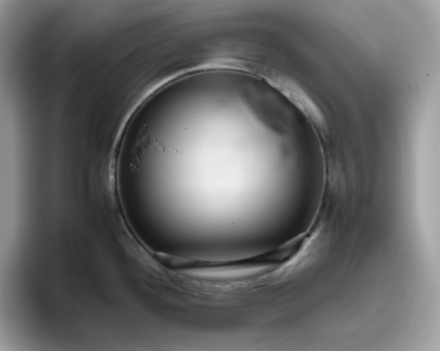 X0000095941292200801251102