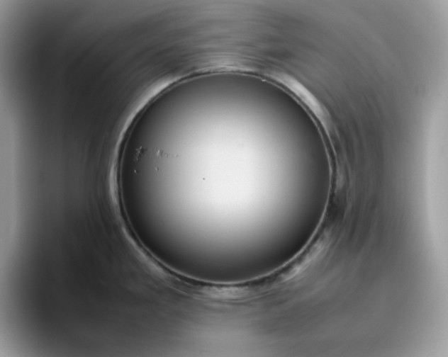 X0000095941293200801251102