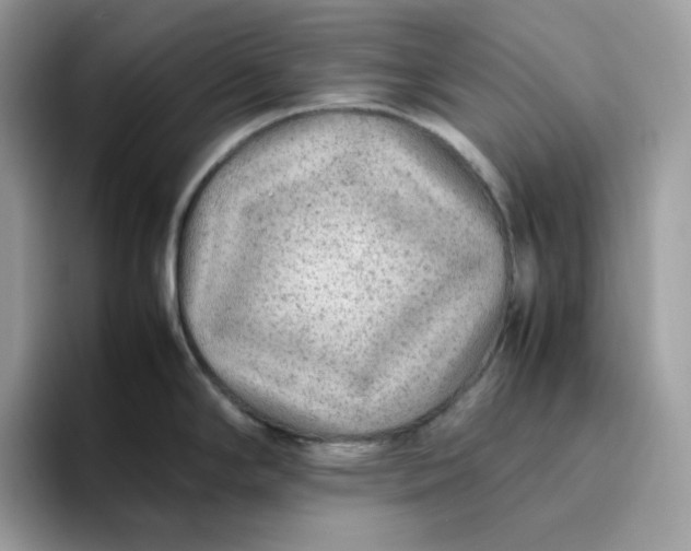 X0000095941294200801251102