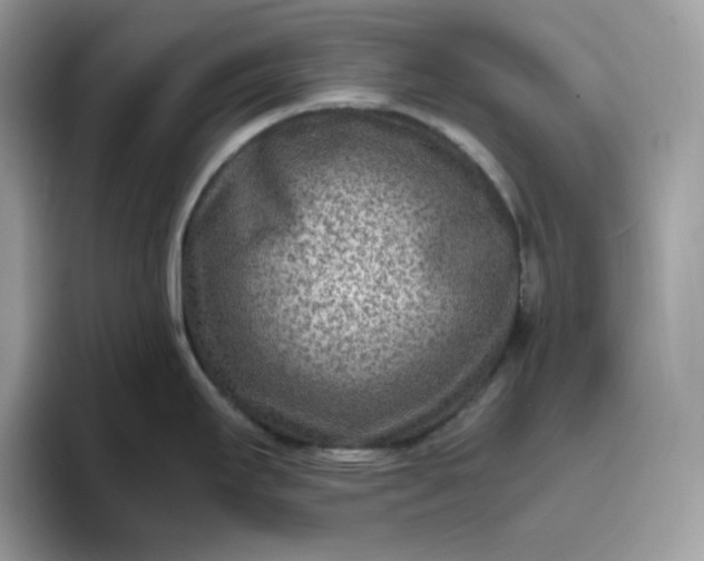 X0000095941295200801251102