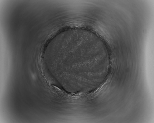 X0000095941297200801251102