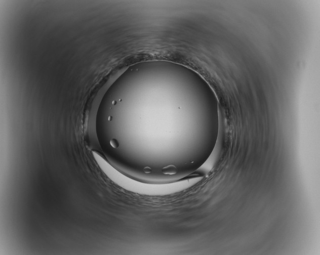 X0000095941298200801251102