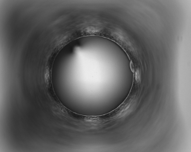 X0000095941299200801251102