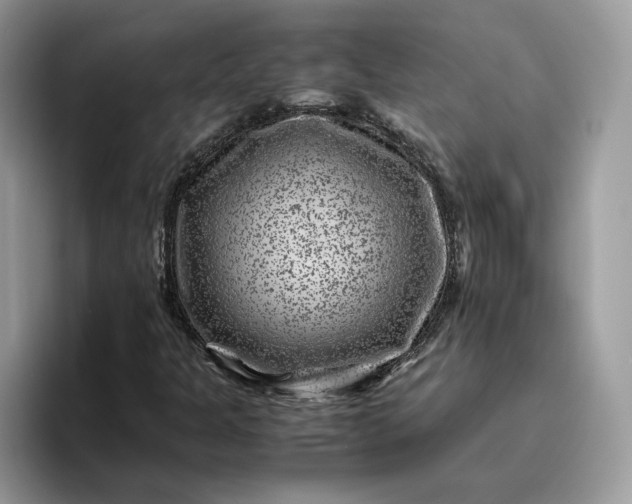 X0000095941301200801251102