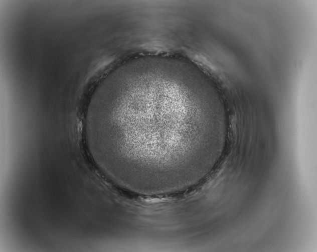 X0000095941302200801251102