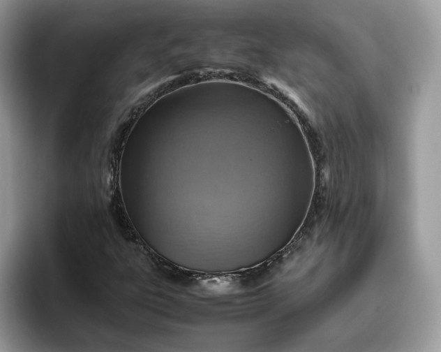 X0000095941303200801251102