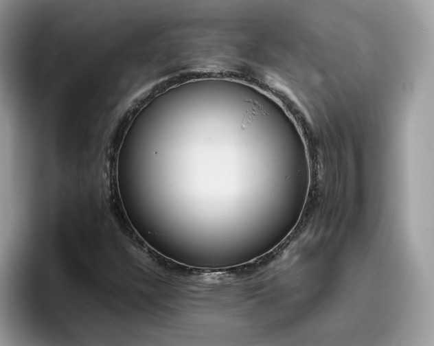 X0000095941304200801251102