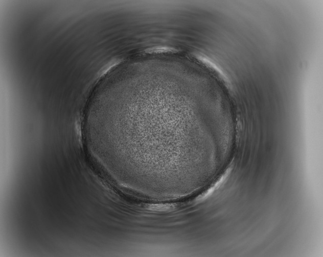 X0000095941305200801251102