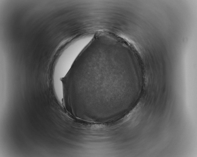 X0000095941306200801251102