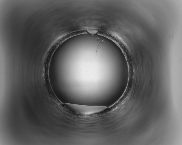 X0000095941307200801251102