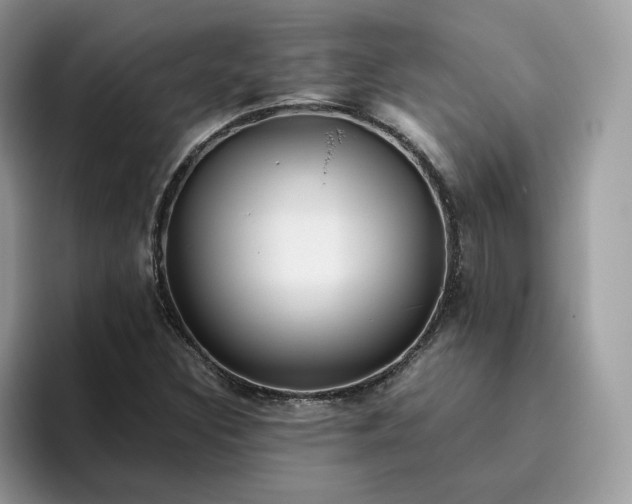 X0000095941308200801251102