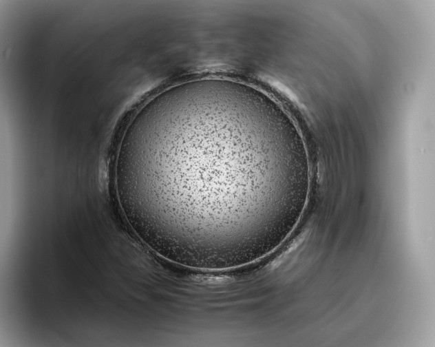 X0000095941309200801251102