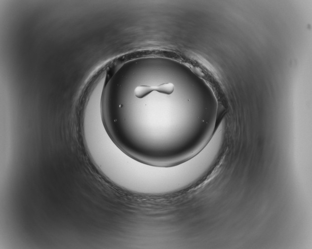 X0000095941310200801251102