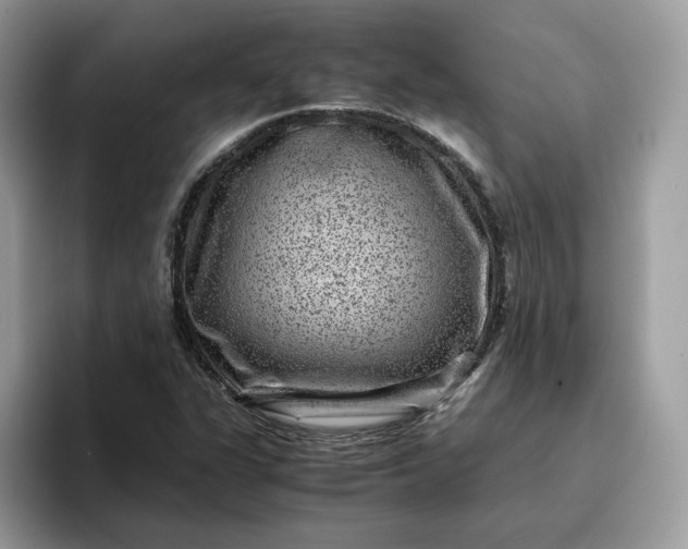 X0000095941311200801251102