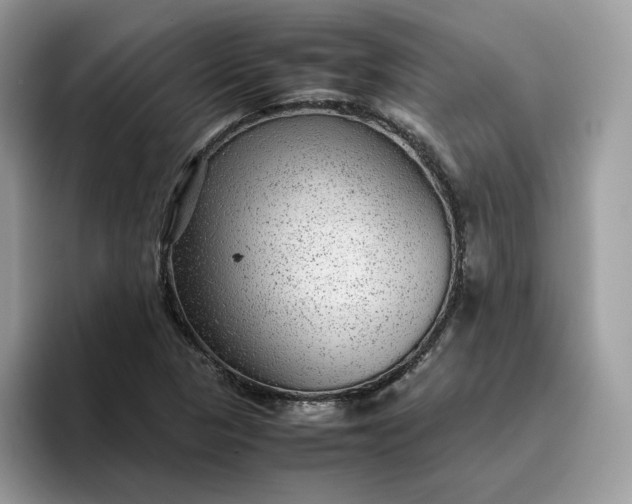 X0000095941313200801251102