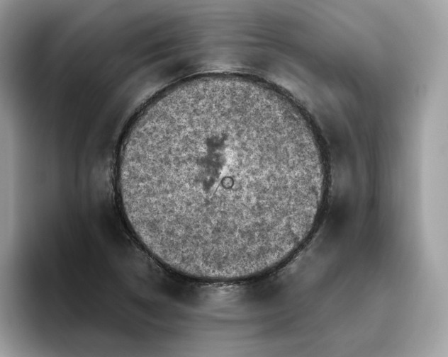 X0000095941314200801251102