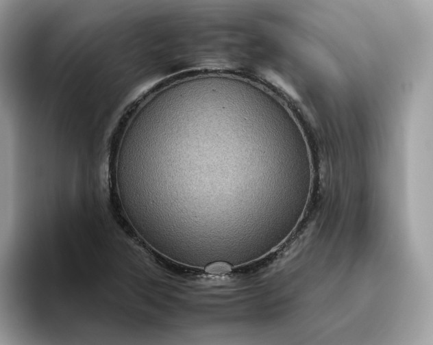 X0000095941315200801251102