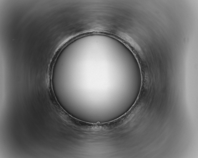 X0000095941316200801251102