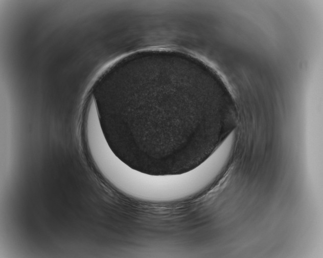 X0000095941319200801251102