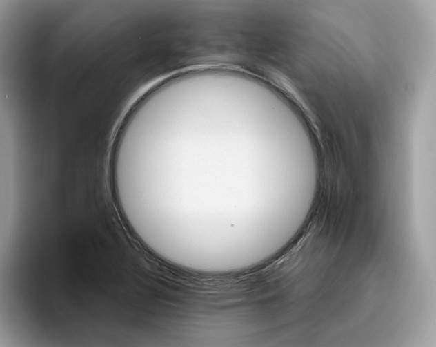 X0000095941320200801251102