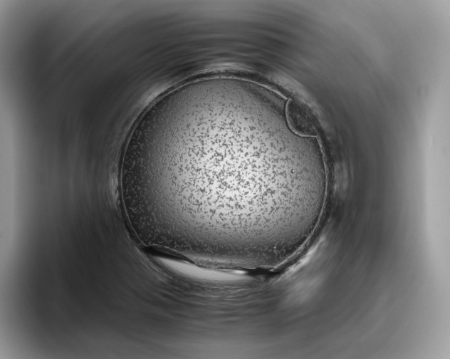 X0000095941321200801251102