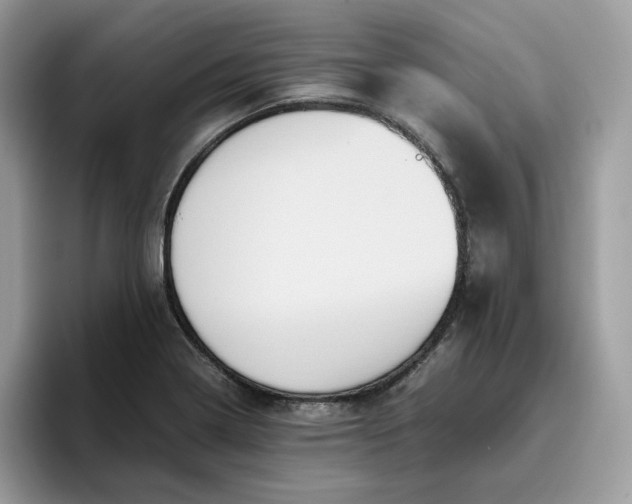 X0000095941322200801251102