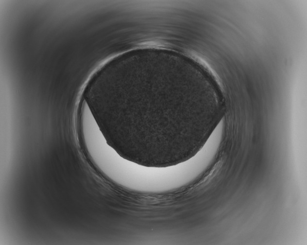 X0000095941323200801251102