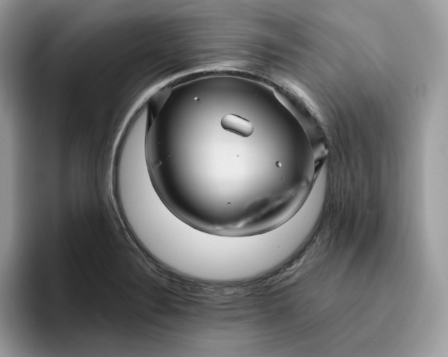 X0000095941324200801251102