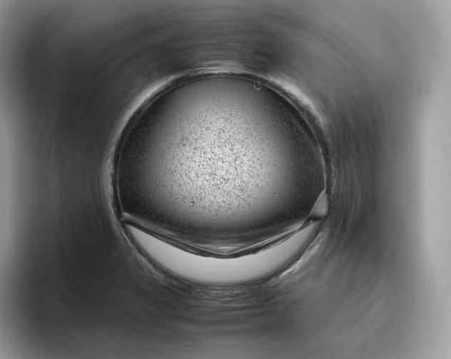 X0000095941325200801251102