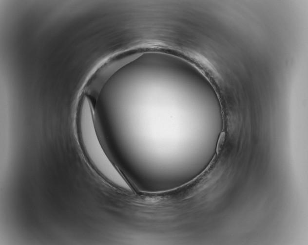 X0000095941326200801251102