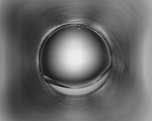 X0000095941328200801251102