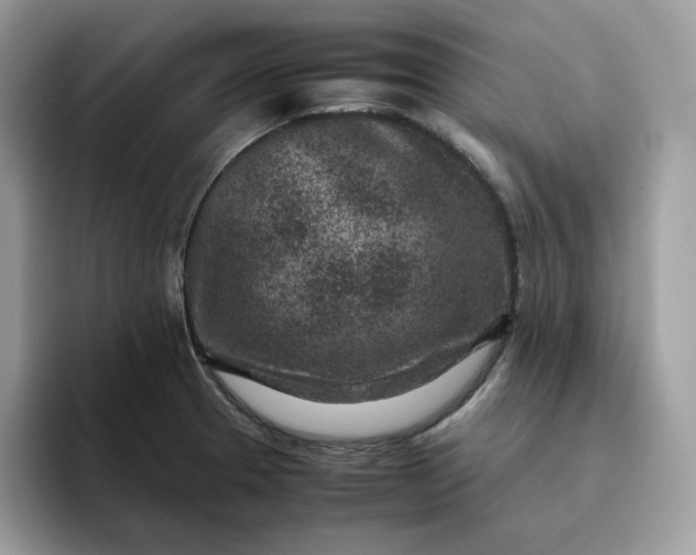 X0000095941329200801251102