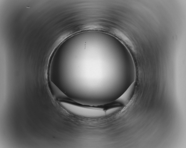 X0000095941330200801251102
