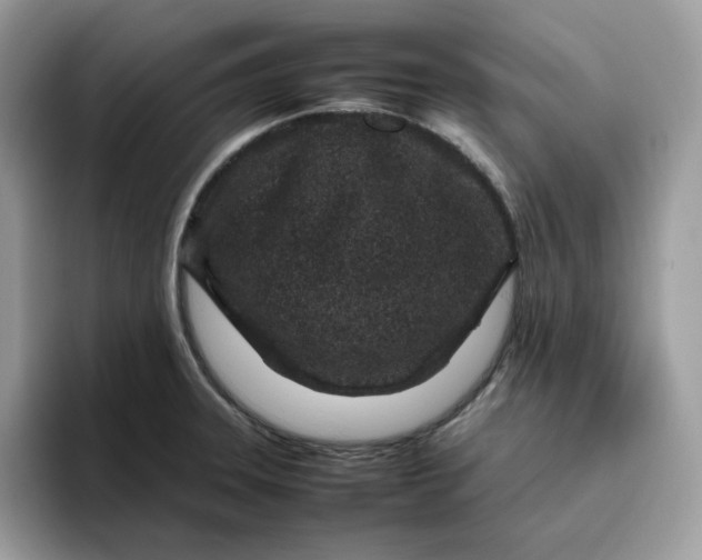 X0000095941331200801251102