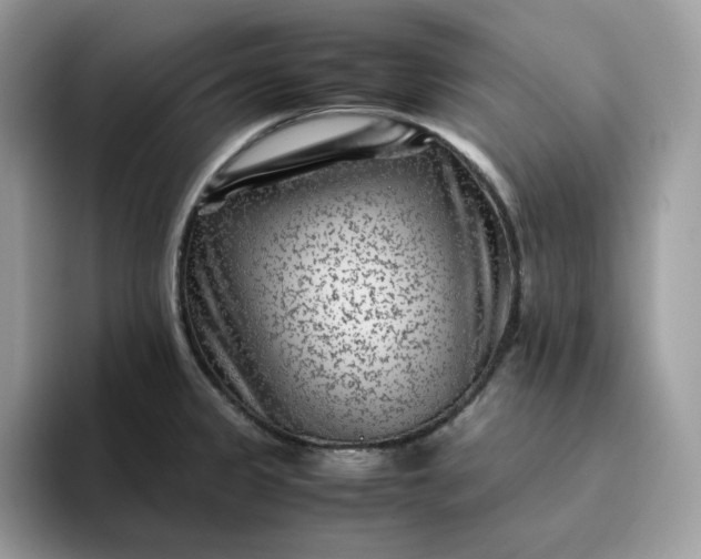 X0000095941333200801251102