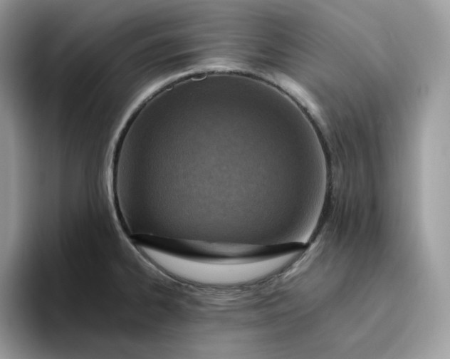 X0000095941334200801251102