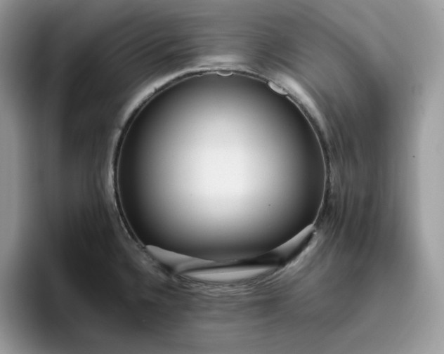 X0000095941336200801251102