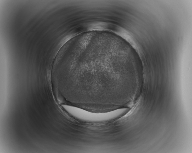 X0000095941337200801251102