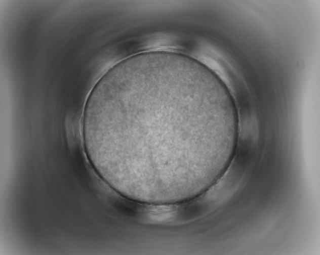 X0000095941338200801251102