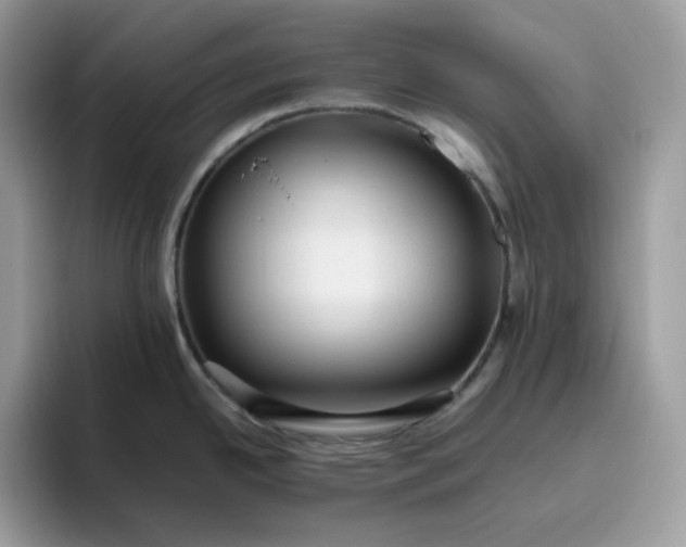 X0000095941342200801251102